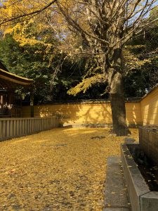 November 30, 2018 - (3) Kotohiragu Shrine IMG_0885
