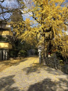 November 30, 2018 - (3) Kotohiragu Shrine IMG_0888