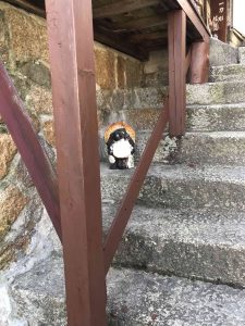 November 30, 2018 - (3) Kotohiragu Shrine IMG_8521