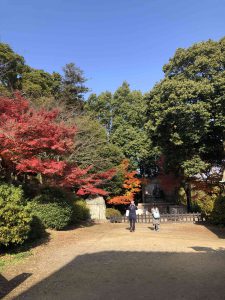 November 30, 2018 - (3) Kotohiragu Shrine IMG_8524