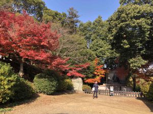 November 30, 2018 - (3) Kotohiragu Shrine IMG_8525