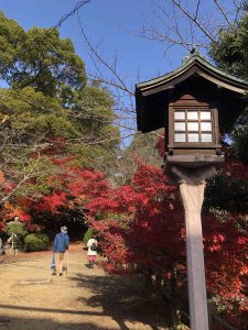 November 30, 2018 - (3) Kotohiragu Shrine IMG_8527