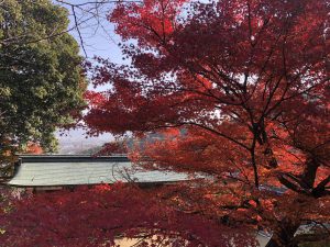 November 30, 2018 - (3) Kotohiragu Shrine IMG_8529