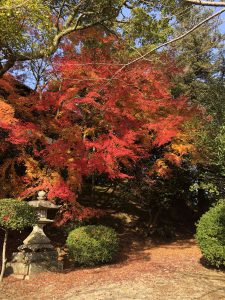 November 30, 2018 - (3) Kotohiragu Shrine IMG_8530