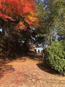November 30, 2018 - (3) Kotohiragu Shrine IMG_8534