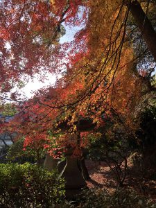 November 30, 2018 - (3) Kotohiragu Shrine IMG_8539