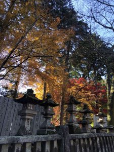 November 30, 2018 - (3) Kotohiragu Shrine IMG_8552