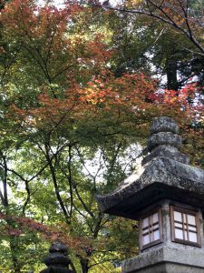 November 30, 2018 - (3) Kotohiragu Shrine IMG_8553