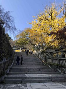 November 30, 2018 - (3) Kotohiragu Shrine IMG_8558