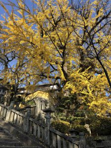 November 30, 2018 - (3) Kotohiragu Shrine IMG_8561
