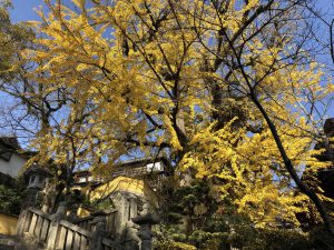 November 30, 2018 - (3) Kotohiragu Shrine IMG_8562