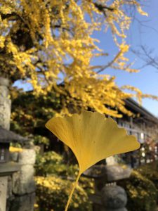 November 30, 2018 - (3) Kotohiragu Shrine IMG_8571