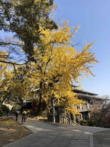 November 30, 2018 - (3) Kotohiragu Shrine IMG_8573