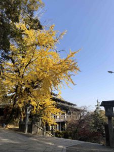 November 30, 2018 - (3) Kotohiragu Shrine IMG_8574