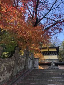 November 30, 2018 - (3) Kotohiragu Shrine IMG_8578