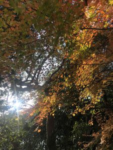 November 30, 2018 - (3) Kotohiragu Shrine IMG_8579