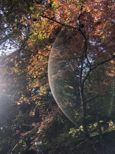 November 30, 2018 - (3) Kotohiragu Shrine IMG_8581