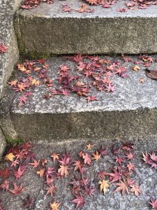 November 30, 2018 - (3) Kotohiragu Shrine IMG_8583