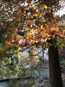November 30, 2018 - (3) Kotohiragu Shrine IMG_8584