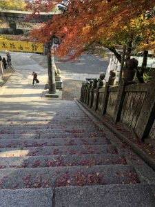 November 30, 2018 - (3) Kotohiragu Shrine IMG_8586