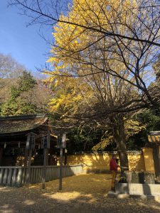 November 30, 2018 - (3) Kotohiragu Shrine IMG_8597