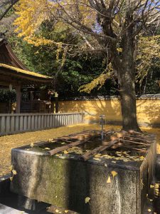 November 30, 2018 - (3) Kotohiragu Shrine IMG_8600