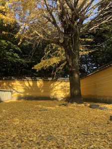 November 30, 2018 - (3) Kotohiragu Shrine IMG_8601
