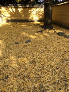 November 30, 2018 - (3) Kotohiragu Shrine IMG_8603
