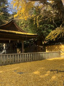 November 30, 2018 - (3) Kotohiragu Shrine IMG_8610