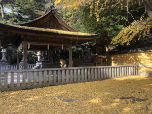 November 30, 2018 - (3) Kotohiragu Shrine IMG_8611