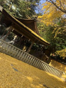 November 30, 2018 - (3) Kotohiragu Shrine IMG_8613
