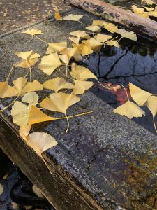 November 30, 2018 - (3) Kotohiragu Shrine IMG_8614