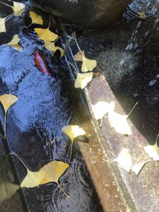 November 30, 2018 - (3) Kotohiragu Shrine IMG_8615