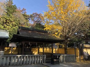 November 30, 2018 - (3) Kotohiragu Shrine IMG_8619