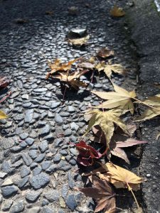 November 30, 2018 - (3) Kotohiragu Shrine IMG_8633
