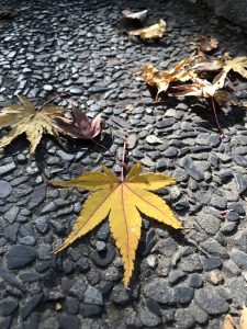 November 30, 2018 - (3) Kotohiragu Shrine IMG_8634