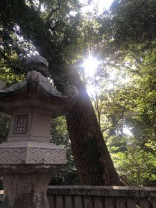 November 30, 2018 - (3) Kotohiragu Shrine IMG_8635