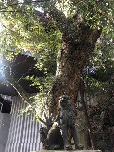 November 30, 2018 - (3) Kotohiragu Shrine IMG_8636