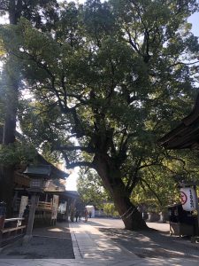 November 30, 2018 - (3) Kotohiragu Shrine IMG_8641