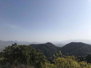 November 30, 2018 - (3) Kotohiragu Shrine IMG_8651