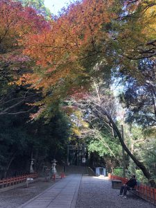 November 30, 2018 - (3) Kotohiragu Shrine IMG_8656