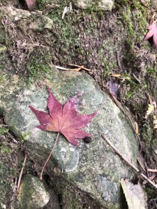 November 30, 2018 - (3) Kotohiragu Shrine IMG_8660