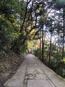 November 30, 2018 - (3) Kotohiragu Shrine IMG_8661