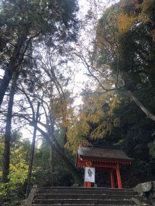 November 30, 2018 - (3) Kotohiragu Shrine IMG_8667