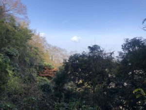 November 30, 2018 - (3) Kotohiragu Shrine IMG_8677