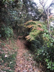 November 30, 2018 - (3) Kotohiragu Shrine IMG_8678