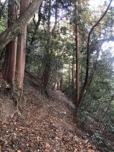 November 30, 2018 - (3) Kotohiragu Shrine IMG_8680
