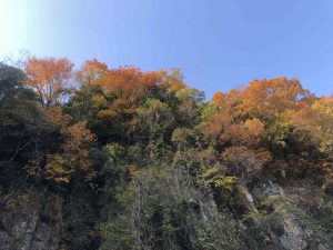November 30, 2018 - (3) Kotohiragu Shrine IMG_8685