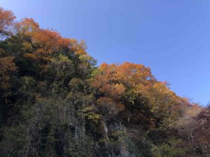 November 30, 2018 - (3) Kotohiragu Shrine IMG_8686
