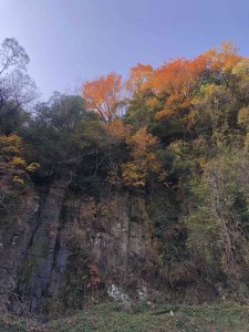 November 30, 2018 - (3) Kotohiragu Shrine IMG_8687
